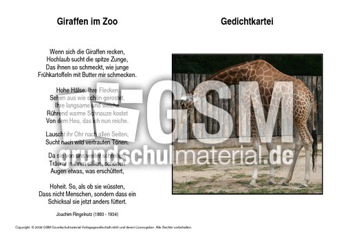 Giraffen-im-Zoo-Ringelnatz.pdf